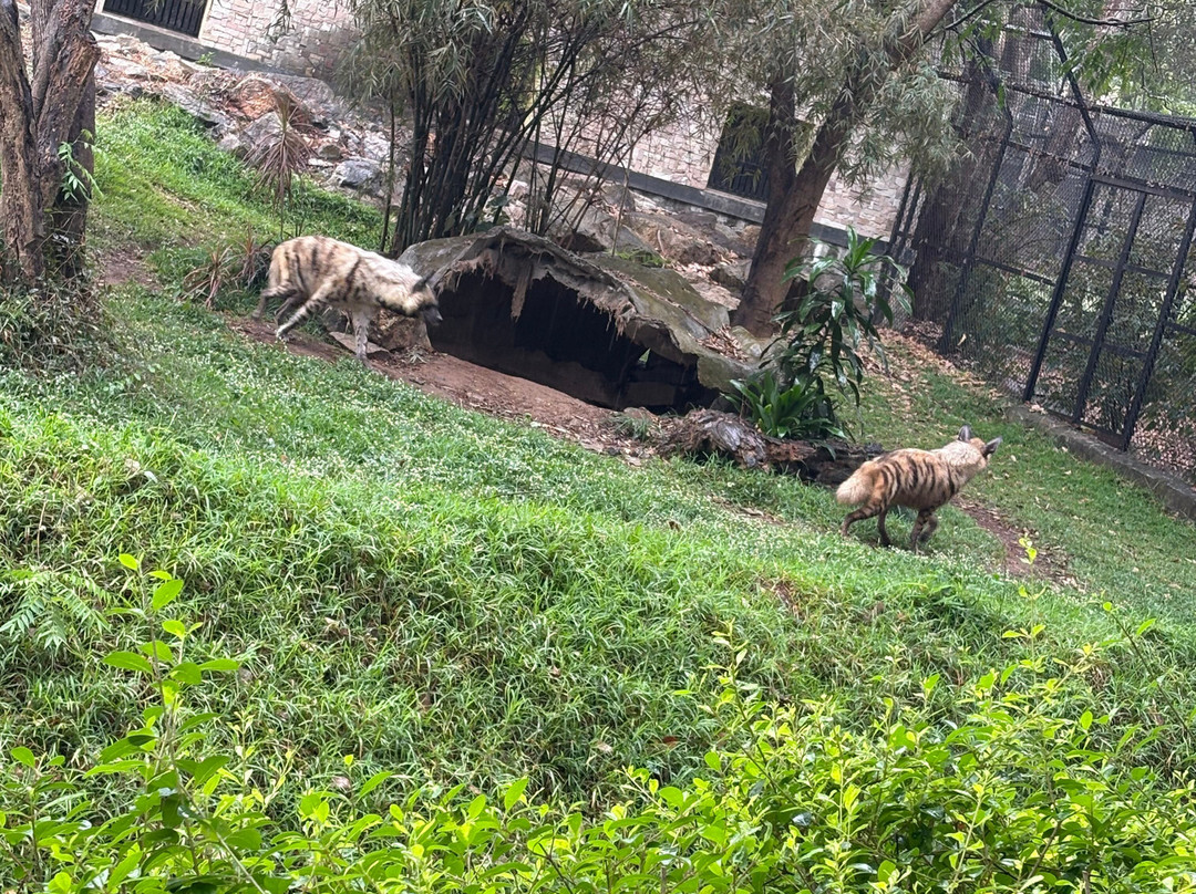 Bannerghatta Biological Park景点图片