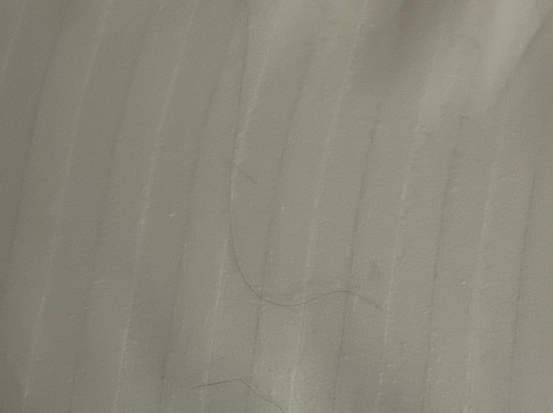 最佳西方斑马汽车旅馆主图