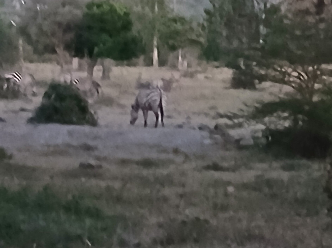 Maralal Safari Lodge主图