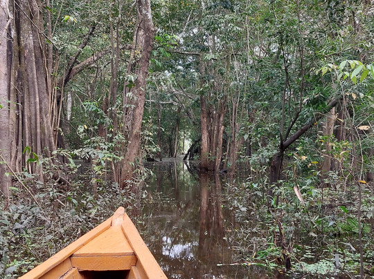 Camping Fungi-莱蒂西亚必去景点