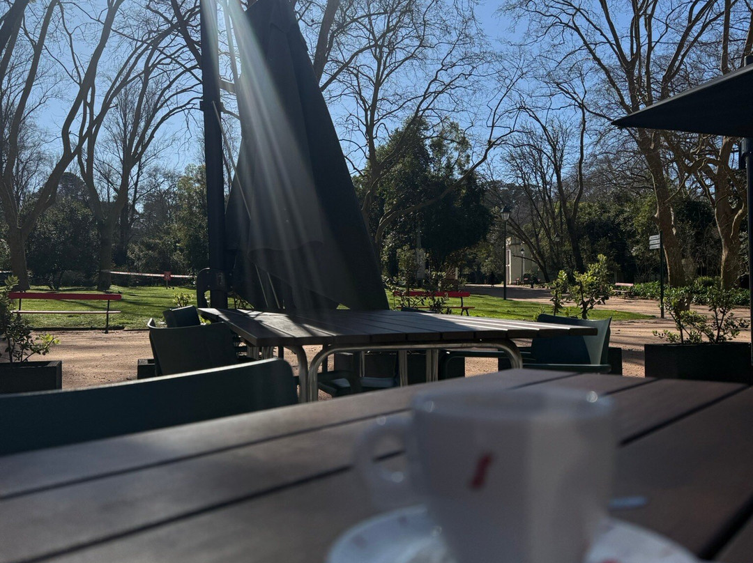 Parque Dom Carlos I景点图片