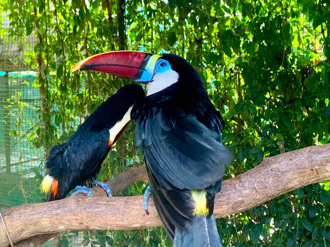 Emperor Valley Zoo-西班牙港必去景点