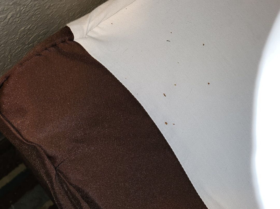 Super 8 by Wyndham Elkins主图