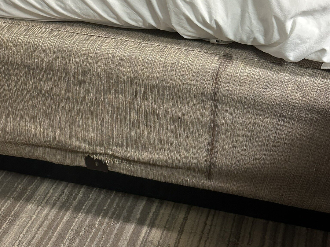 Holiday Inn Express & Suites Carson City by IHG主图