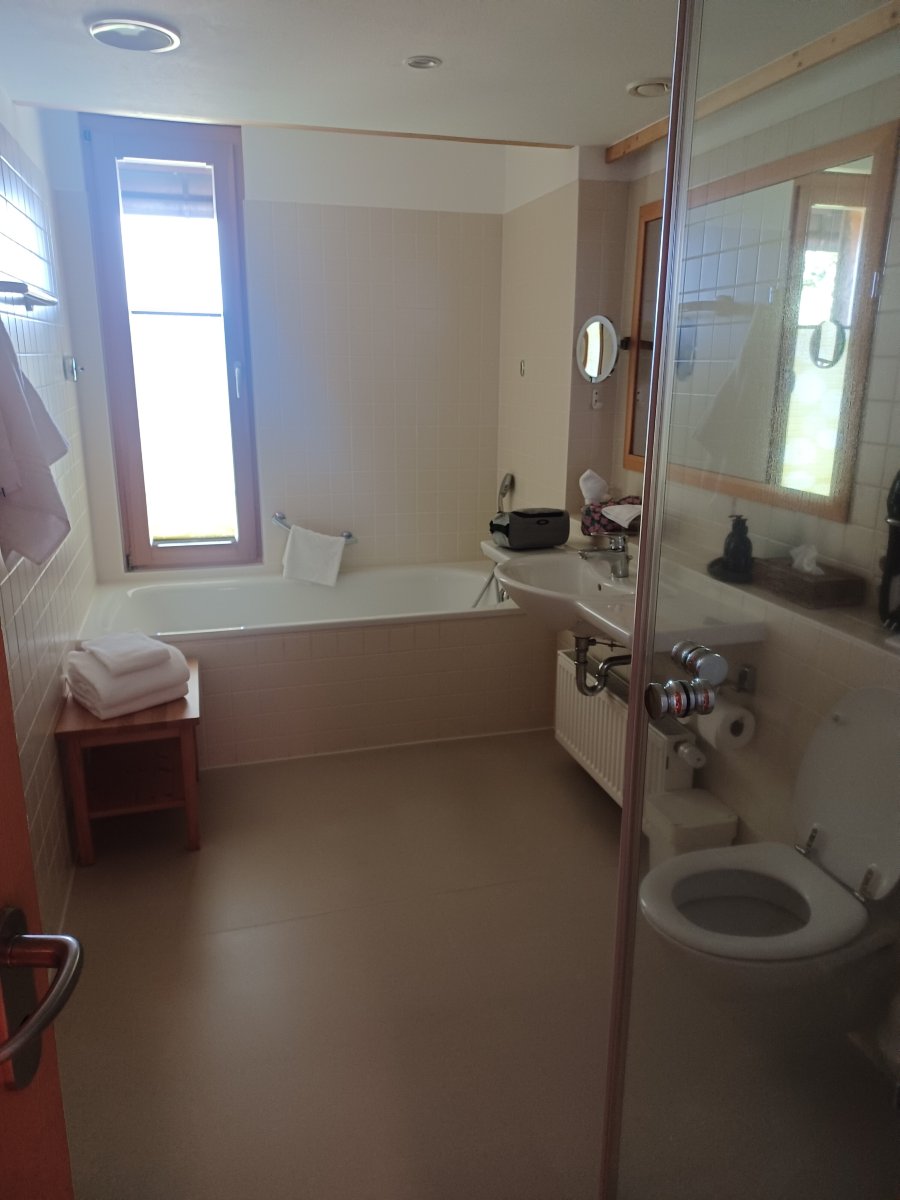 Hotel Die Halde-浴室