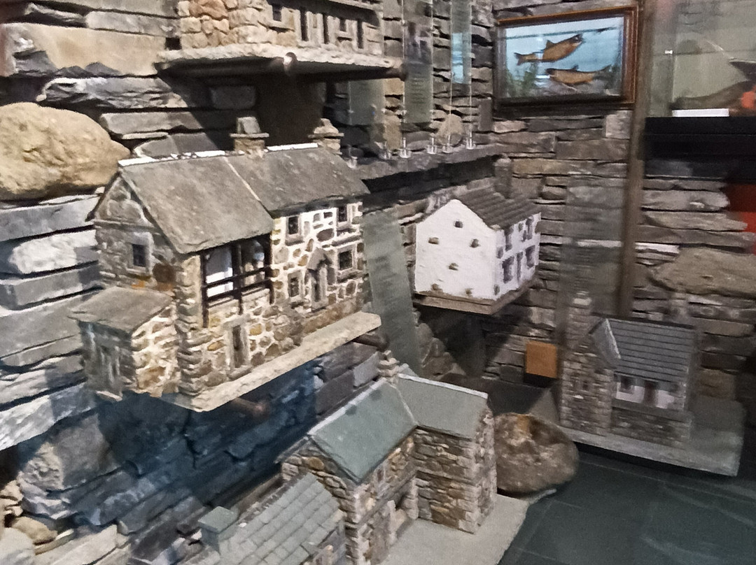 Ruskin Museum景点图片