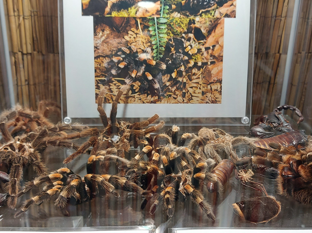 Reptilienzoo Nockalm-Patergassen必去景点