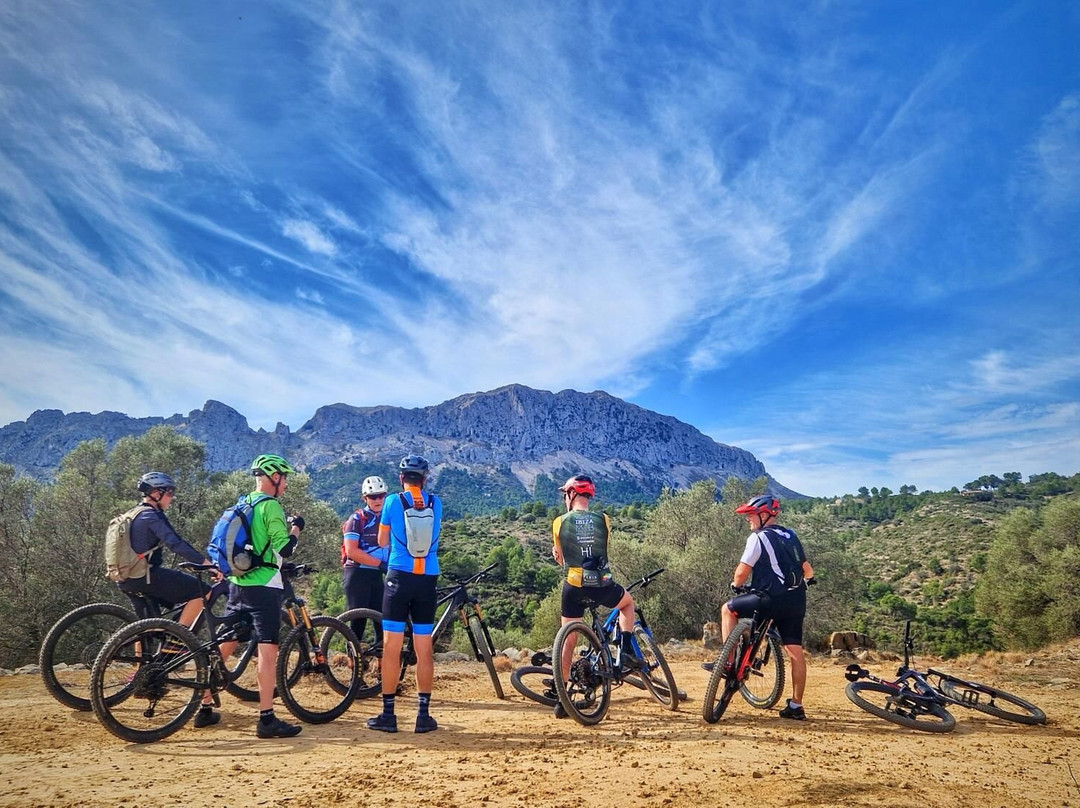 Snakebite MTB Adventures景点图片