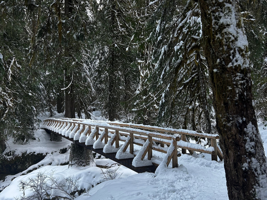 Bagby Hot Springs-Estacada必去景点