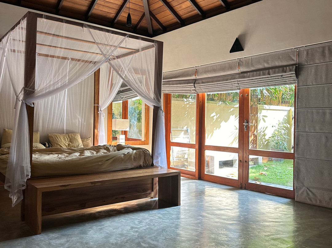 The Spice Trail主图