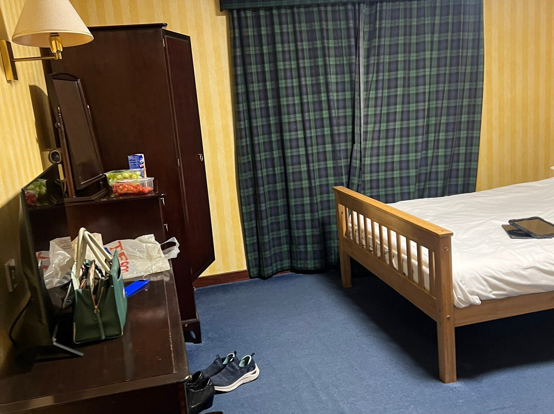 布鲁斯酒店主图