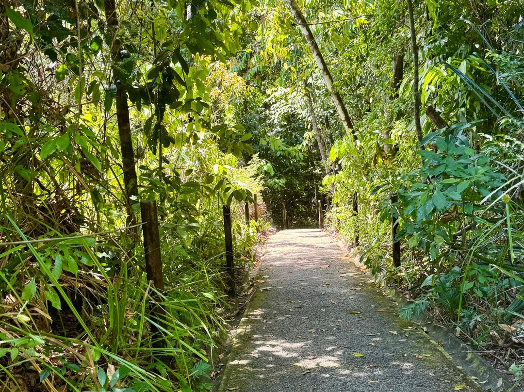 Manuel Antonio, Costa Rica-Savegre必去景点