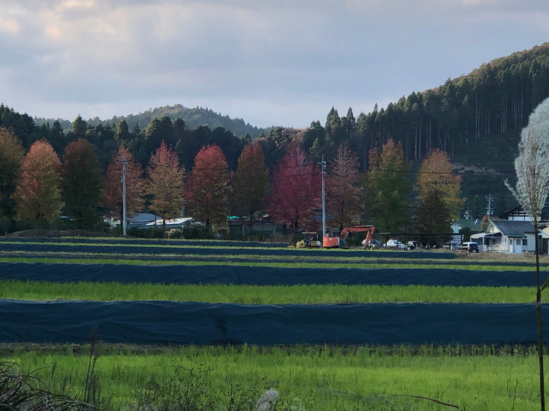 Noto Peninsula-石川县必去景点