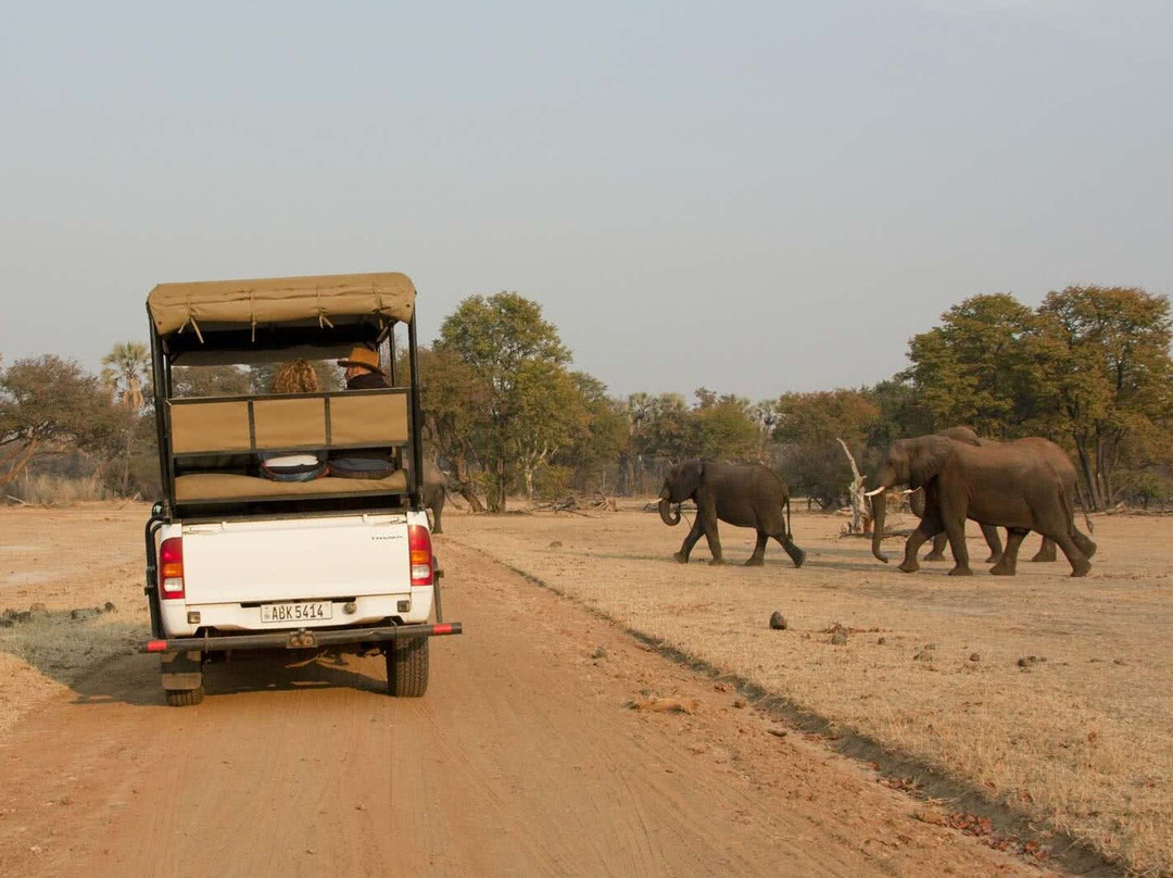 Hillcrest Safari