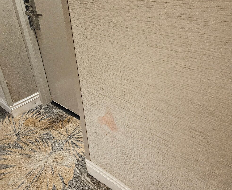 Hampton Inn Ft. Lauderdale/Plantation主图