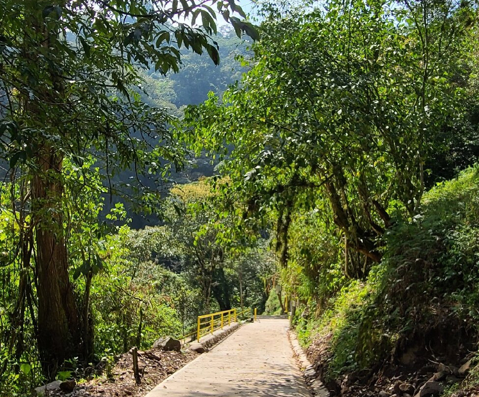 Cascada de Texolo景点图片