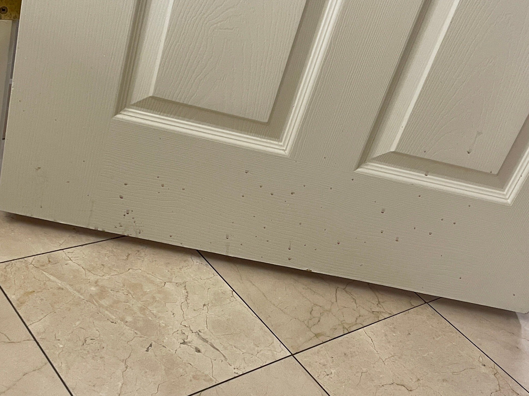 The Cook Hotel and Conference Center at LSU主图