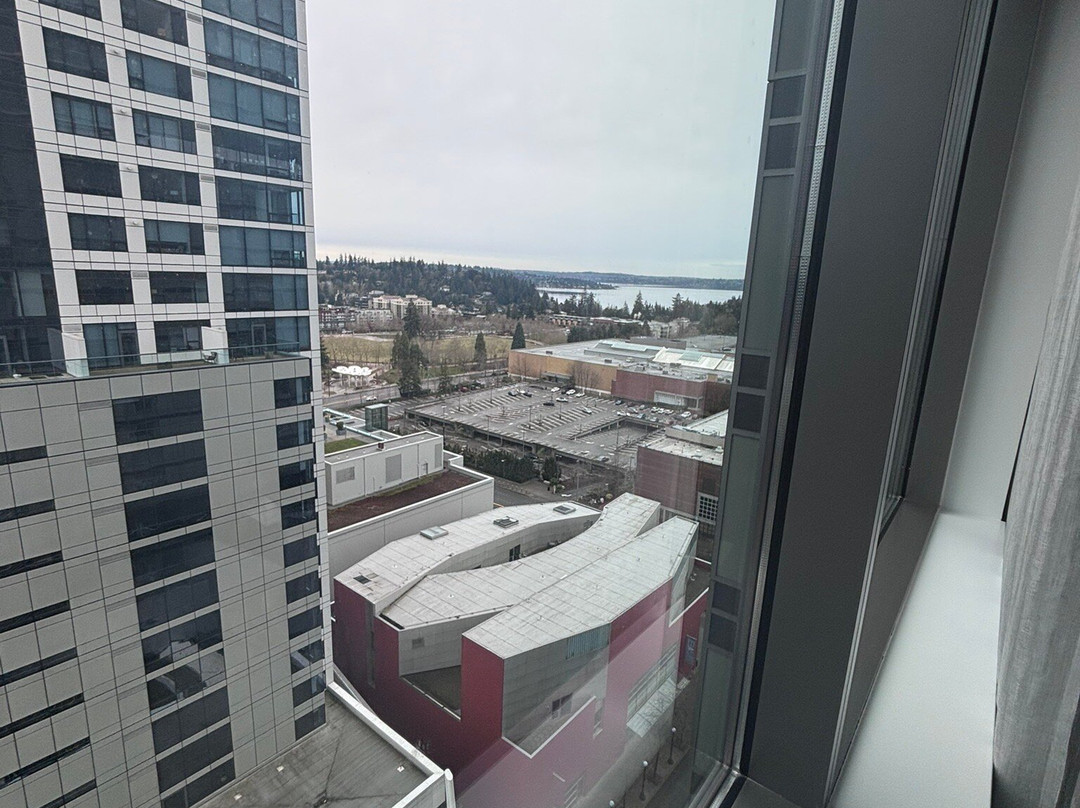 The Westin Bellevue主图