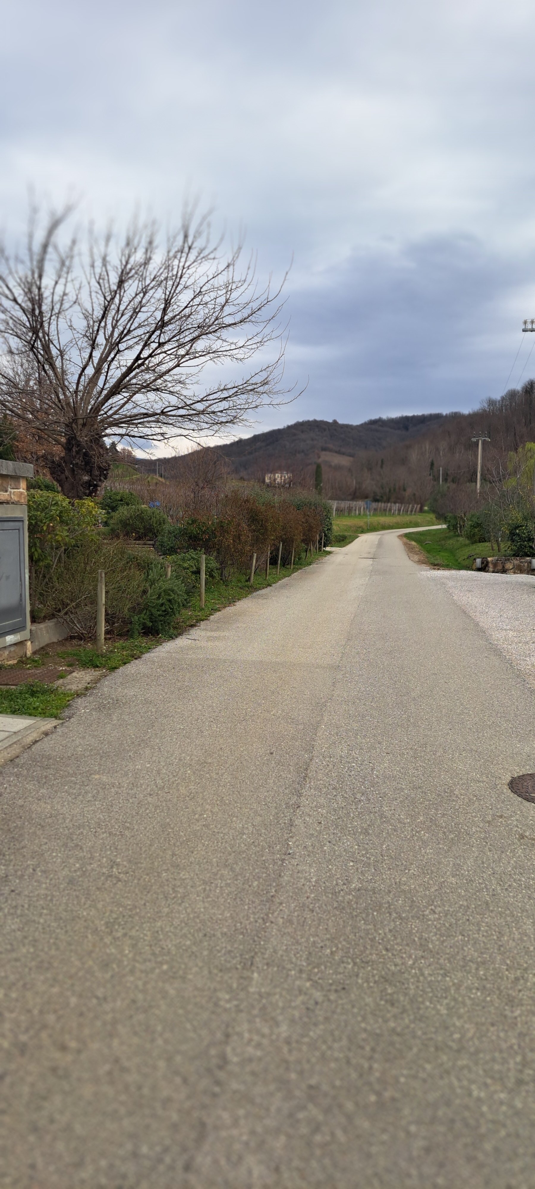 Orsone B&B-官方