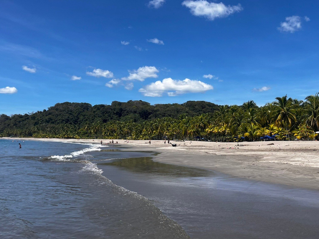 Playa Carrillo景点图片