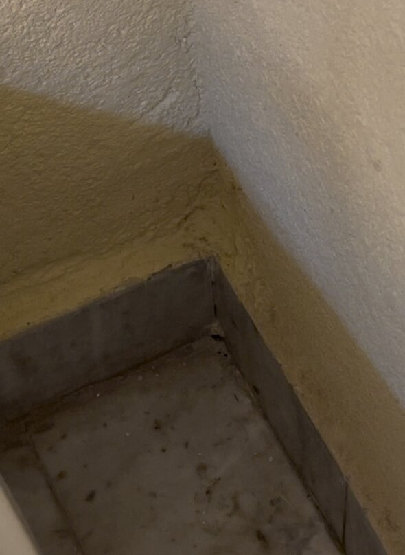 Radisson Aquatica Resort Barbados主图