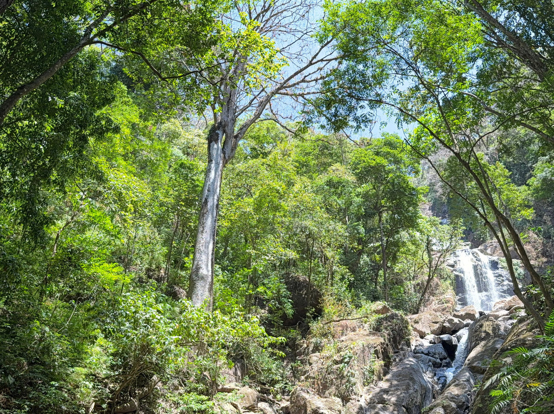 La Piedra Del Indio Waterfalls景点图片