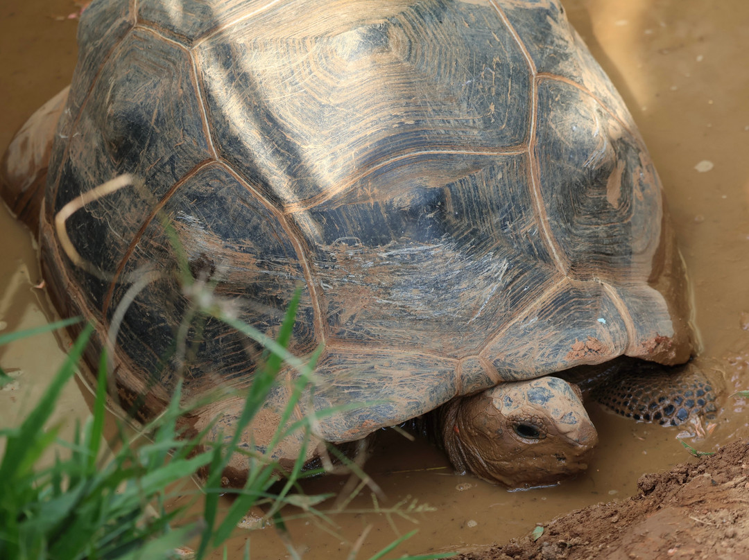 Parque Reptilandia景点图片
