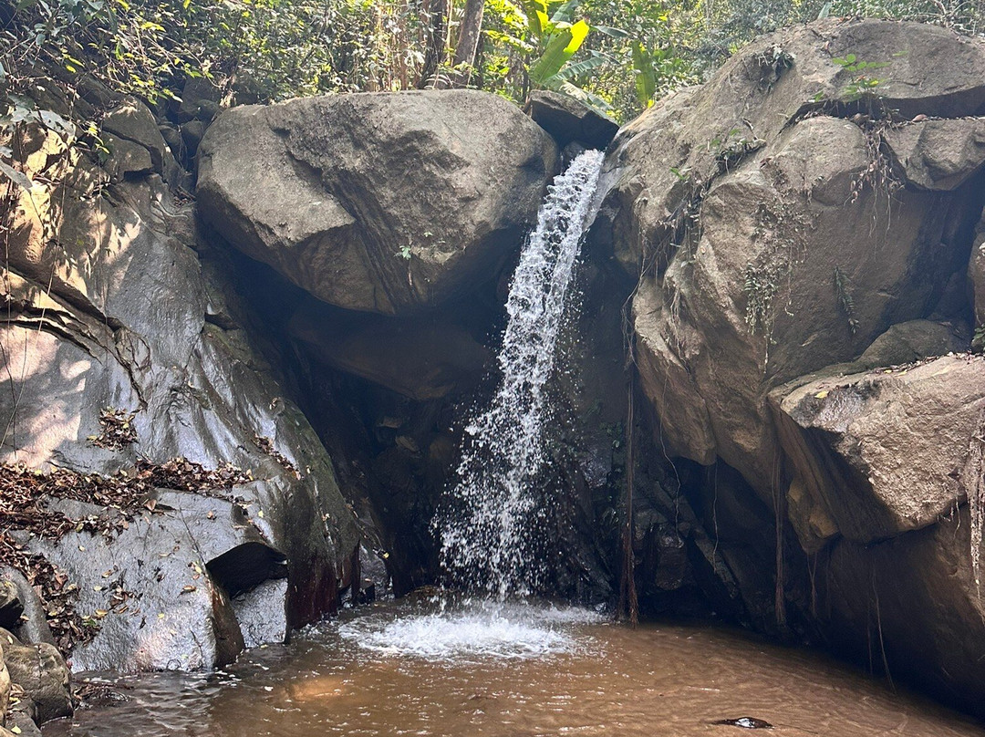 Chiang Mai Eco Trekking景点图片