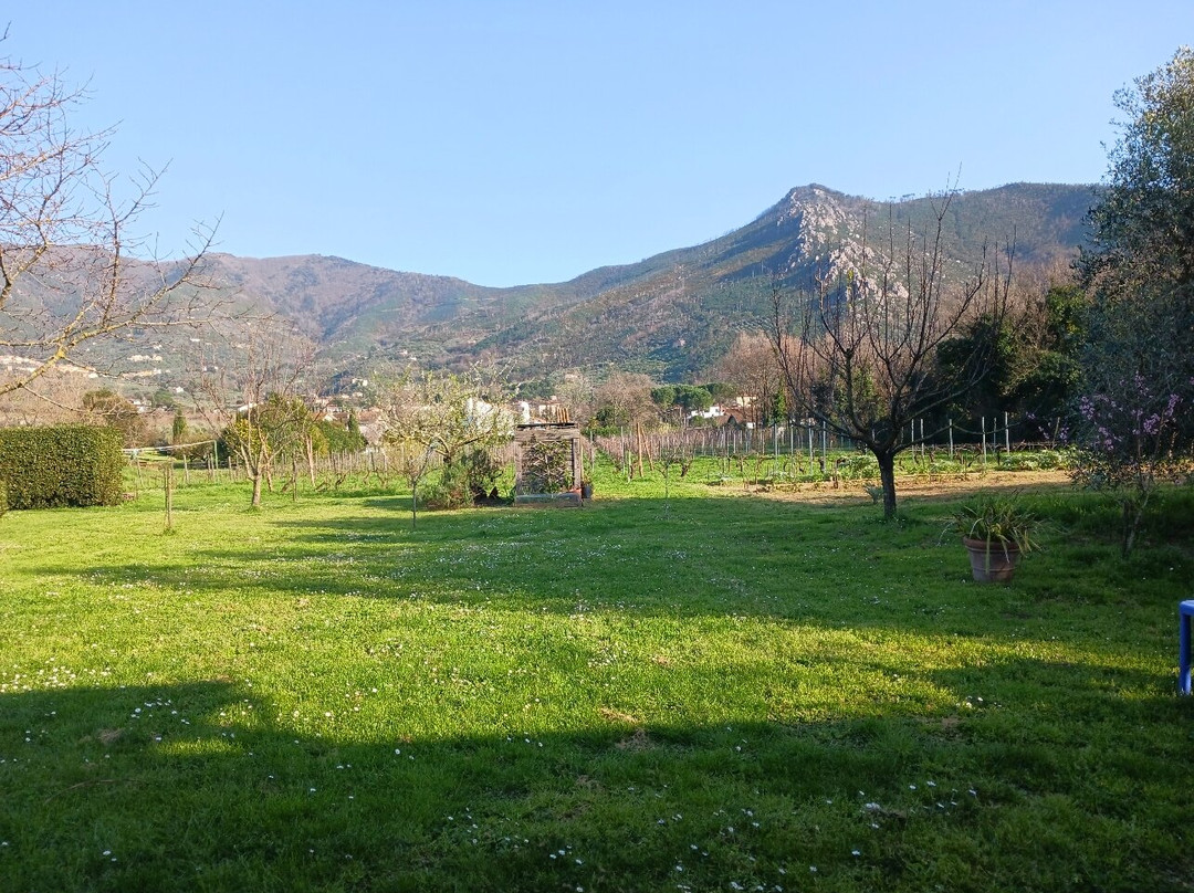 Fattoria San Vito景点图片