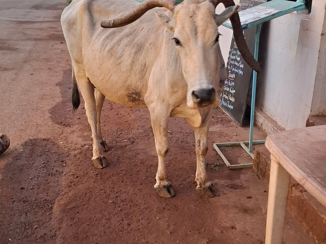 Agonda Beach Road-格纳戈纳必去景点