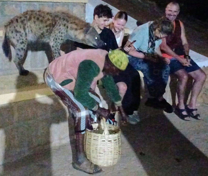 Bini Harar Tours景点图片
