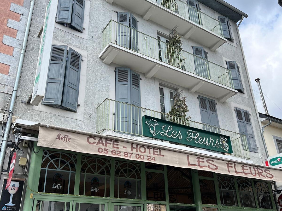 Hotel Cafe les Fleurs主图