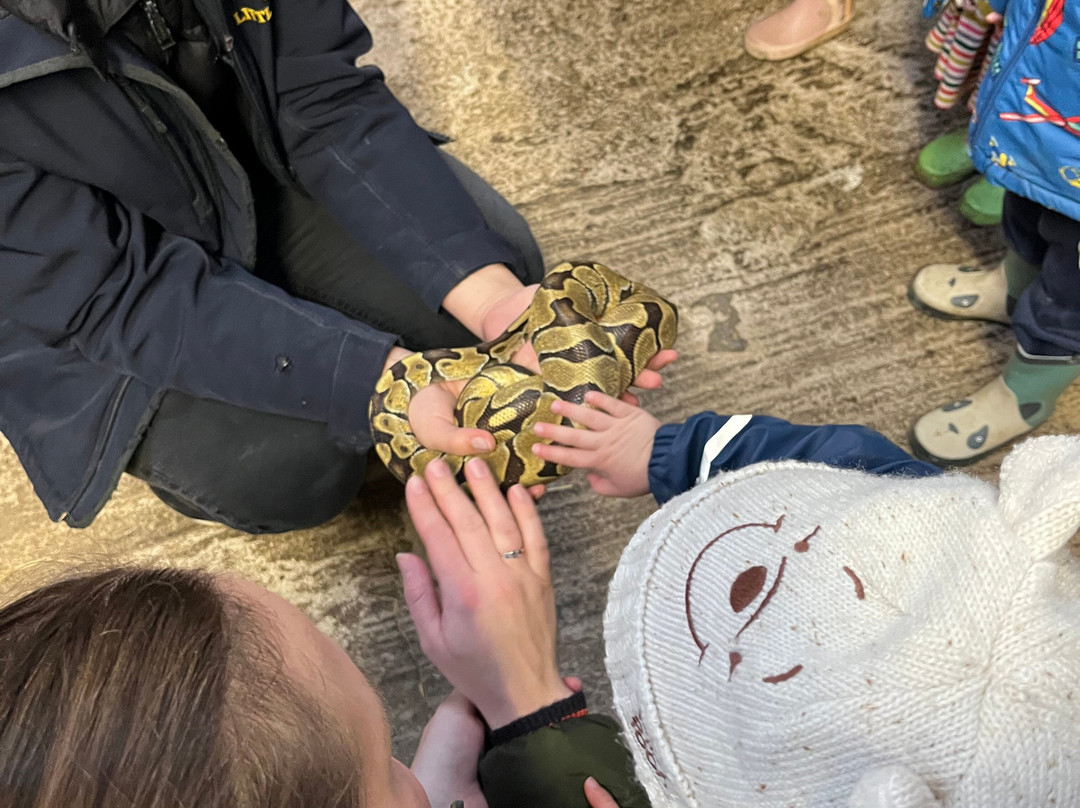 Big Sheep & Little Cow-Bedale必去景点