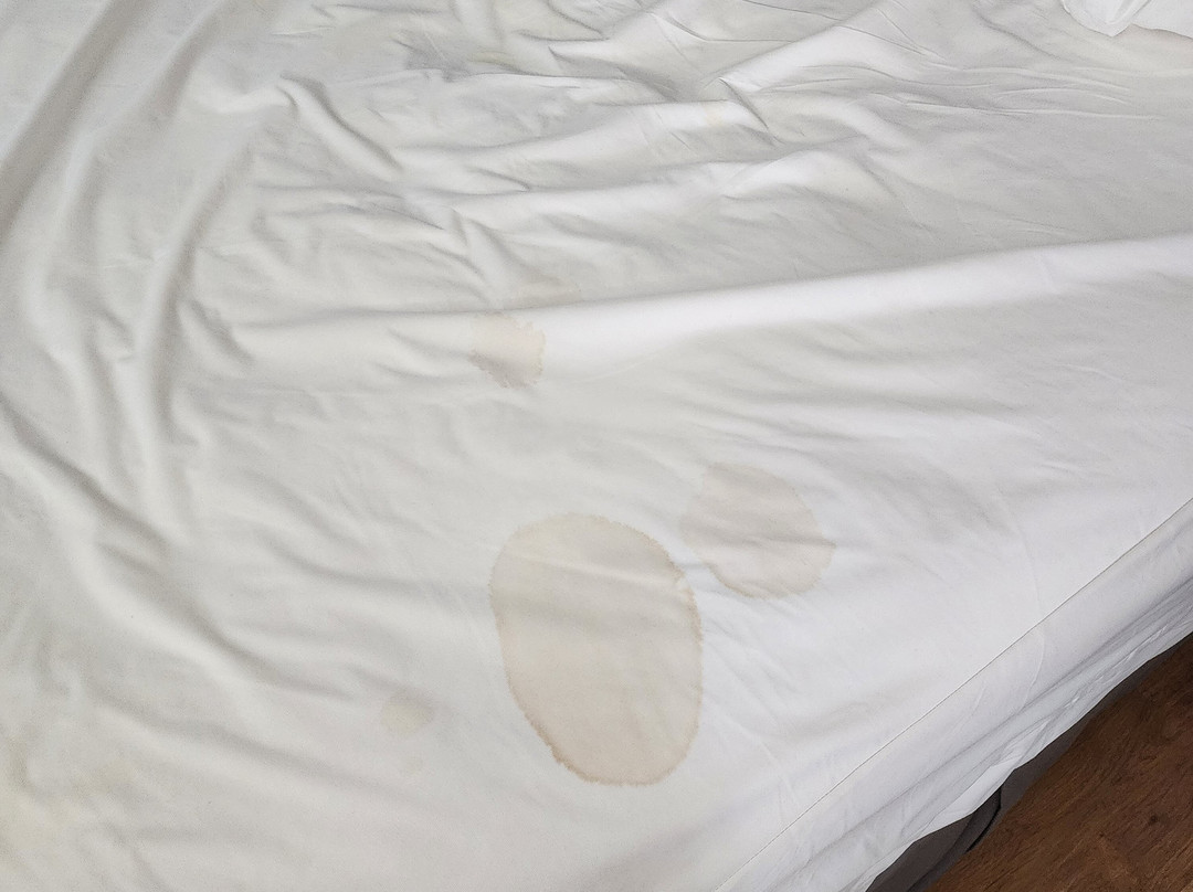 Goose Pond Colony Resort-Scottsboro必去景点