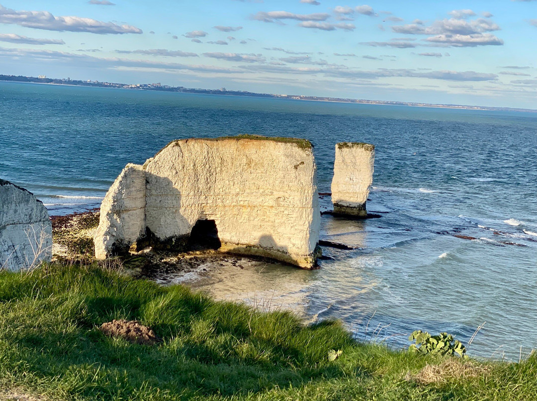 Old Harry Rocks景点图片