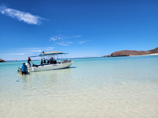 On Board Baja-拉巴斯必去景点