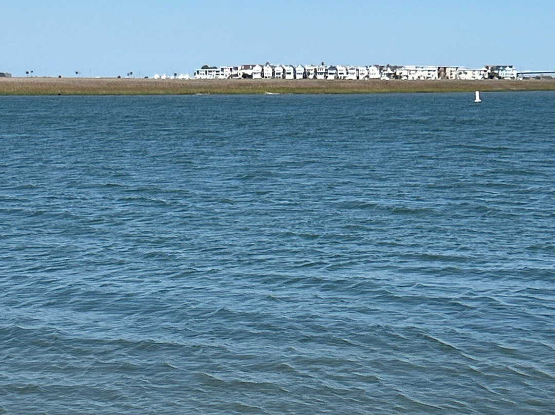 Sullivan's Island Beach景点图片