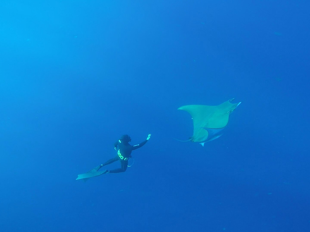 Freediving El Hierro景点图片