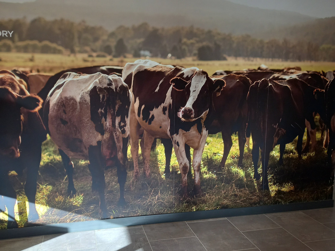 Ashgrove Cheese Dairy Door-Elizabeth Town必去景点