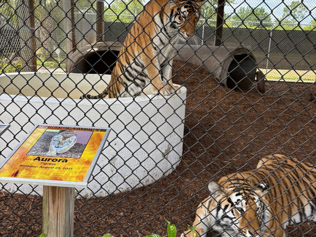 Central Florida Animal Reserve-圣克劳德必去景点