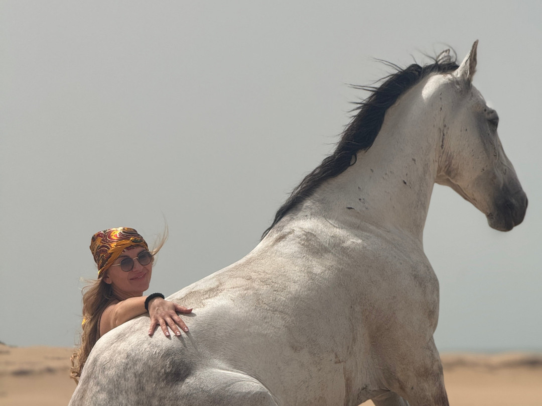 Ocean Ranch Essaouira-索维拉必去景点