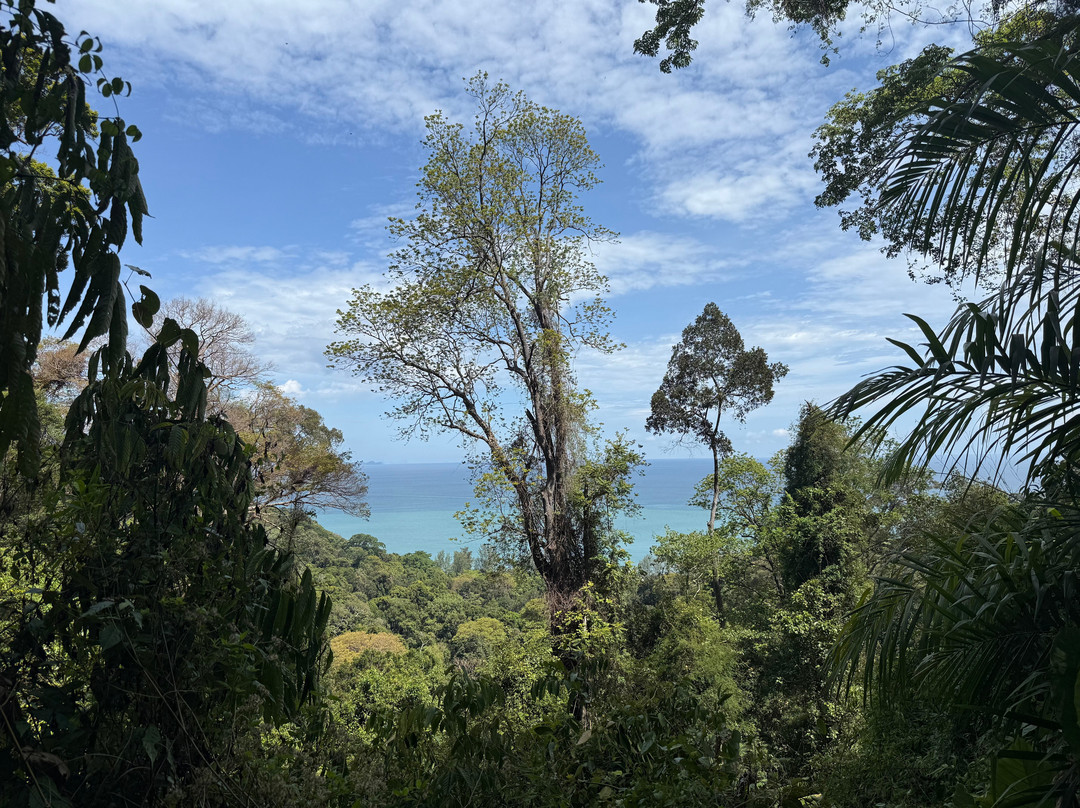 Paradies Sea Travel & Tour-兰塔岛必去景点