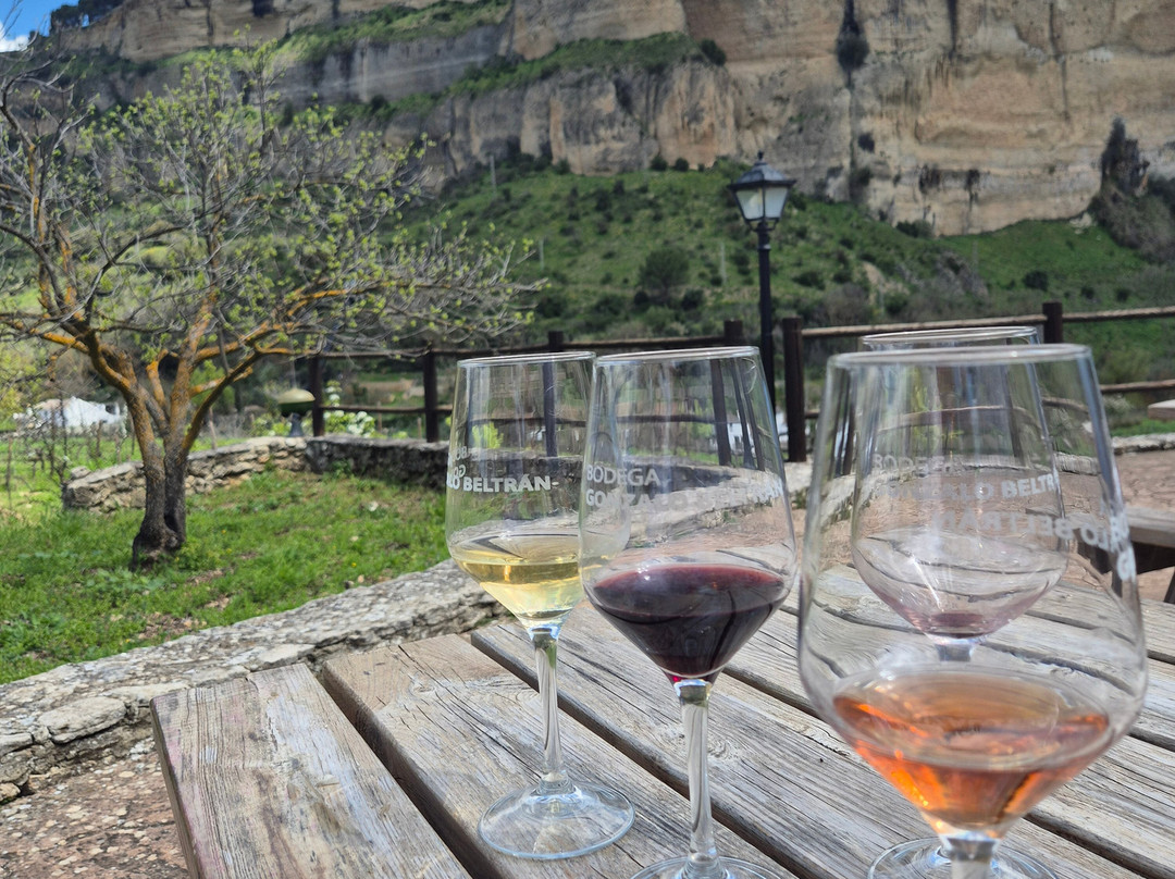 Bodega Gonzalo Beltran-隆达必去景点