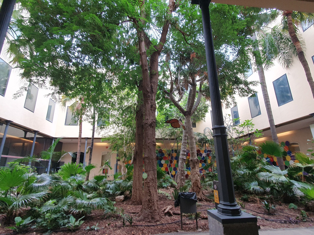 Museo de Naturaleza y Arqueologia景点图片