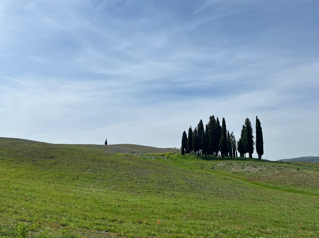 Cipressi di San Quirico d'Orcia-圣奎里科多尔恰必去景点