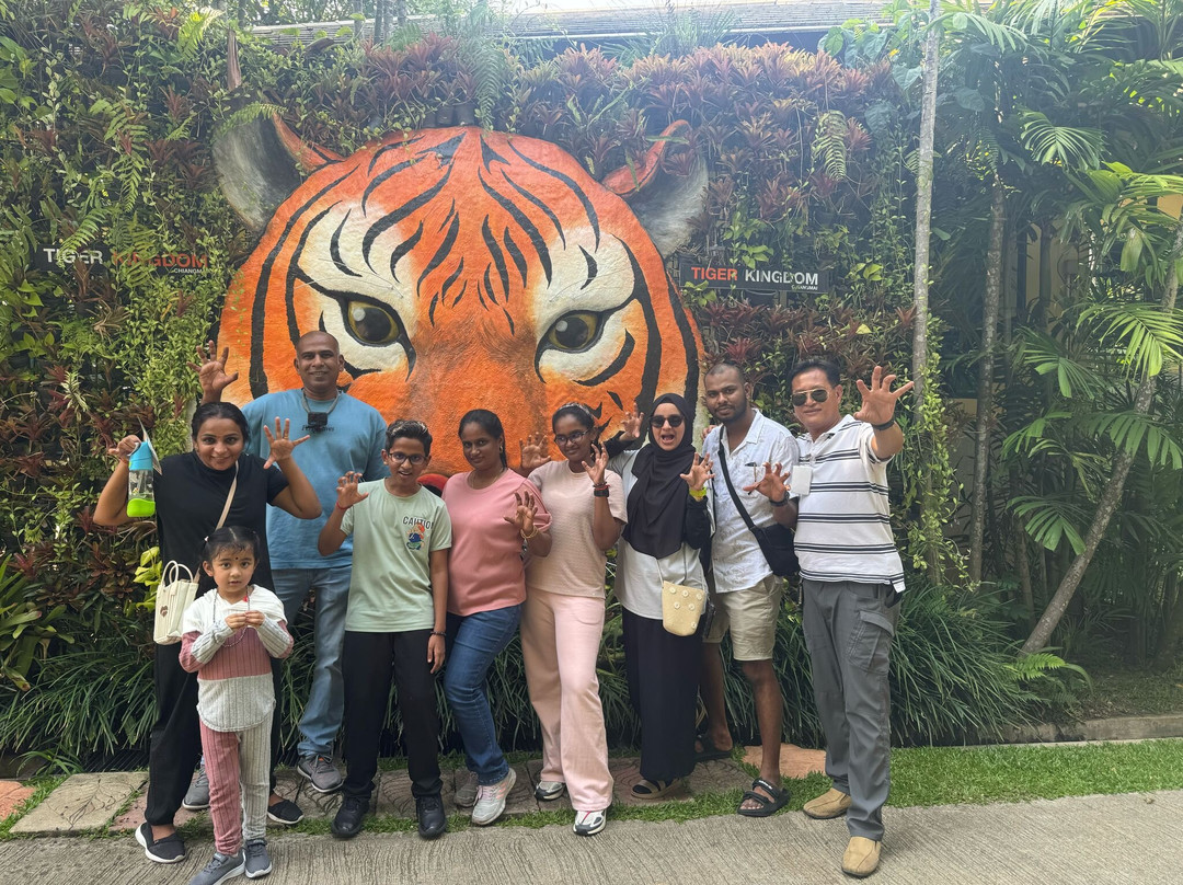 Tee Chiangmai Private Tour-清迈必去景点