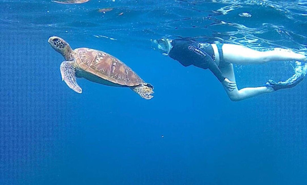 Bali Diving Academy-沙努尔必去景点