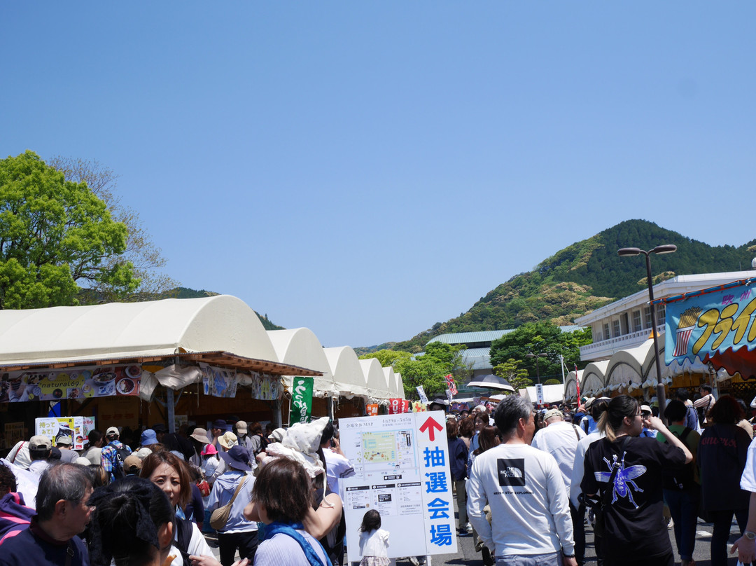 Hasami Ceramics Festival景点图片