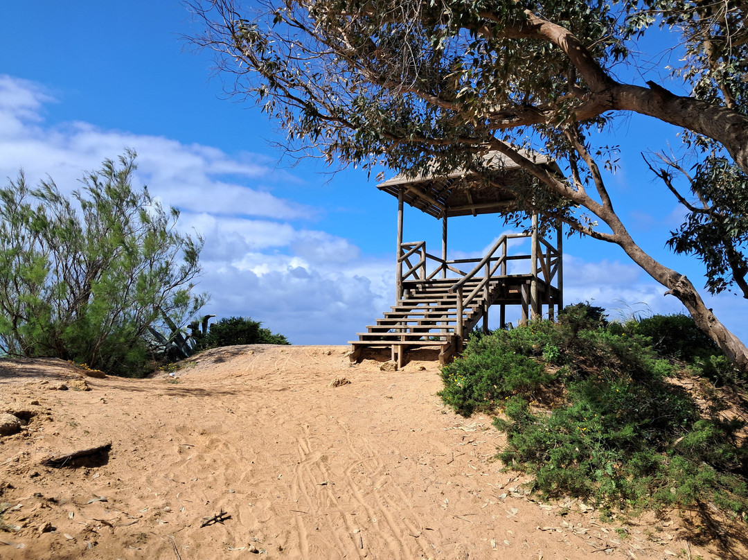 Periurbano De La Barrosa Park景点图片