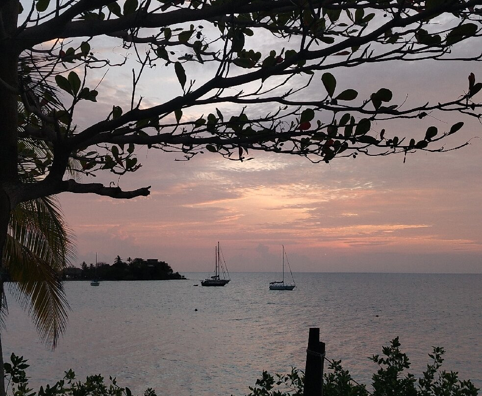 Isla Fuerte Ecolodge &  Diving Center-Isla Fuerte必去景点